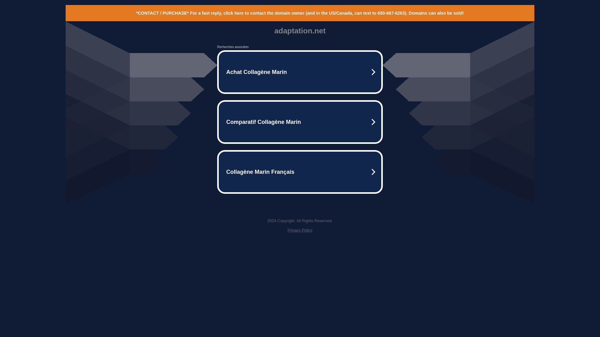Webseitenstatus adaptation.net ist   ONLINE