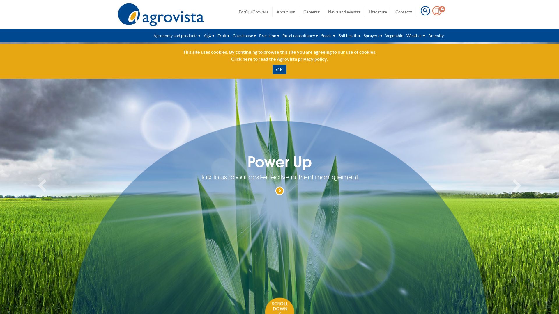 Webseitenstatus agrovista.co.uk ist   ONLINE