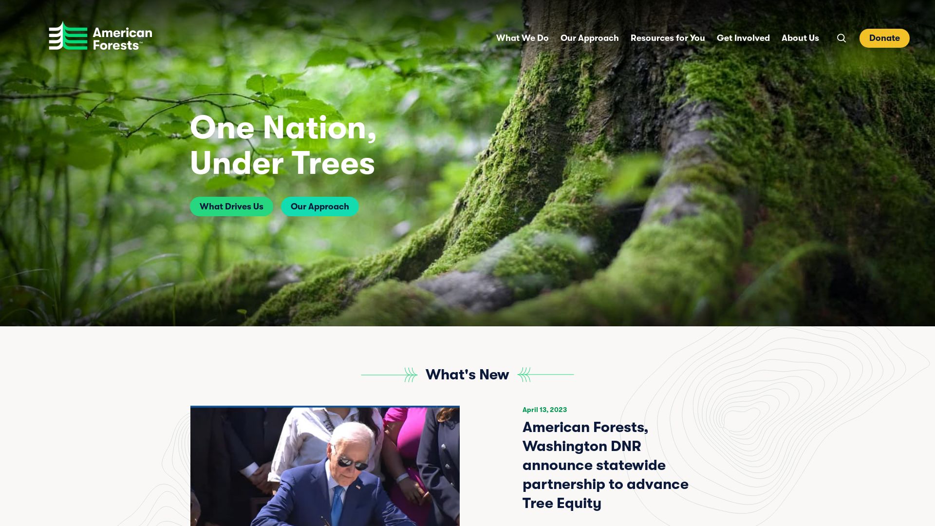 Webseitenstatus americanforests.org ist   ONLINE
