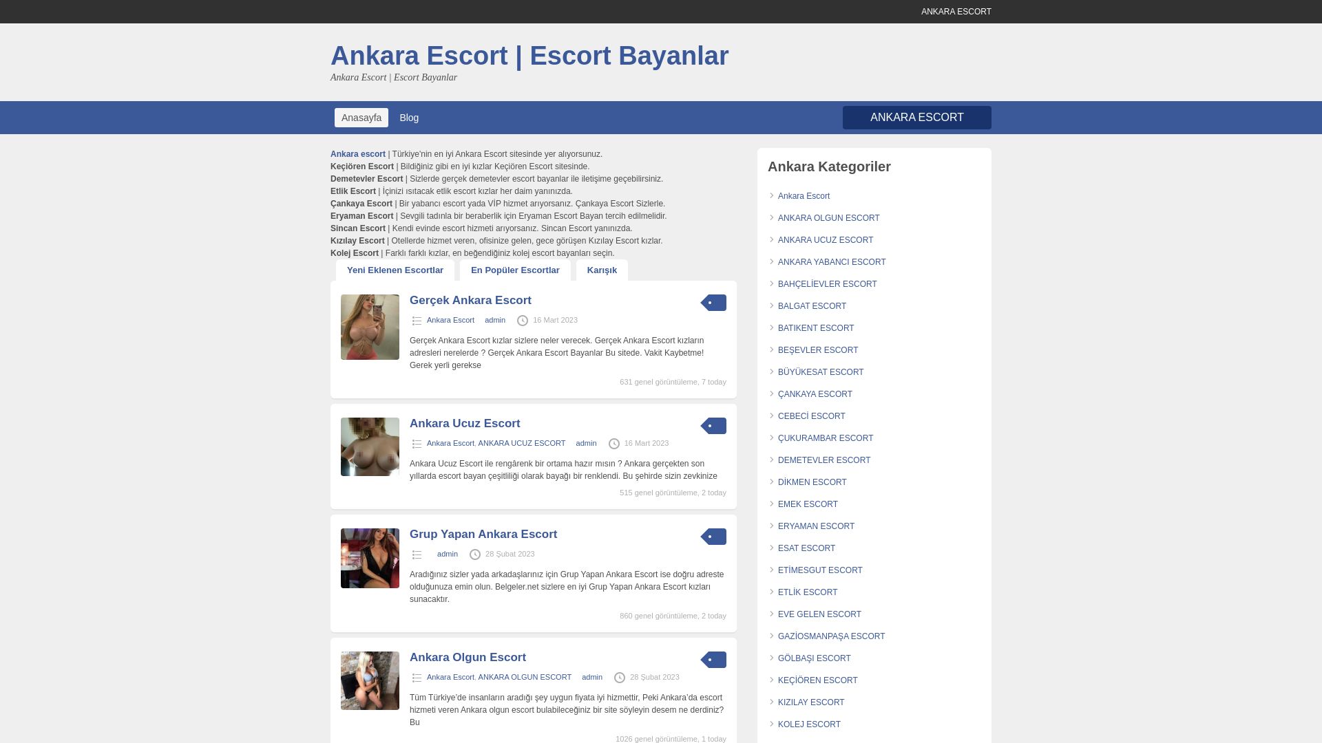 Webseitenstatus ankarabayan.org ist   ONLINE