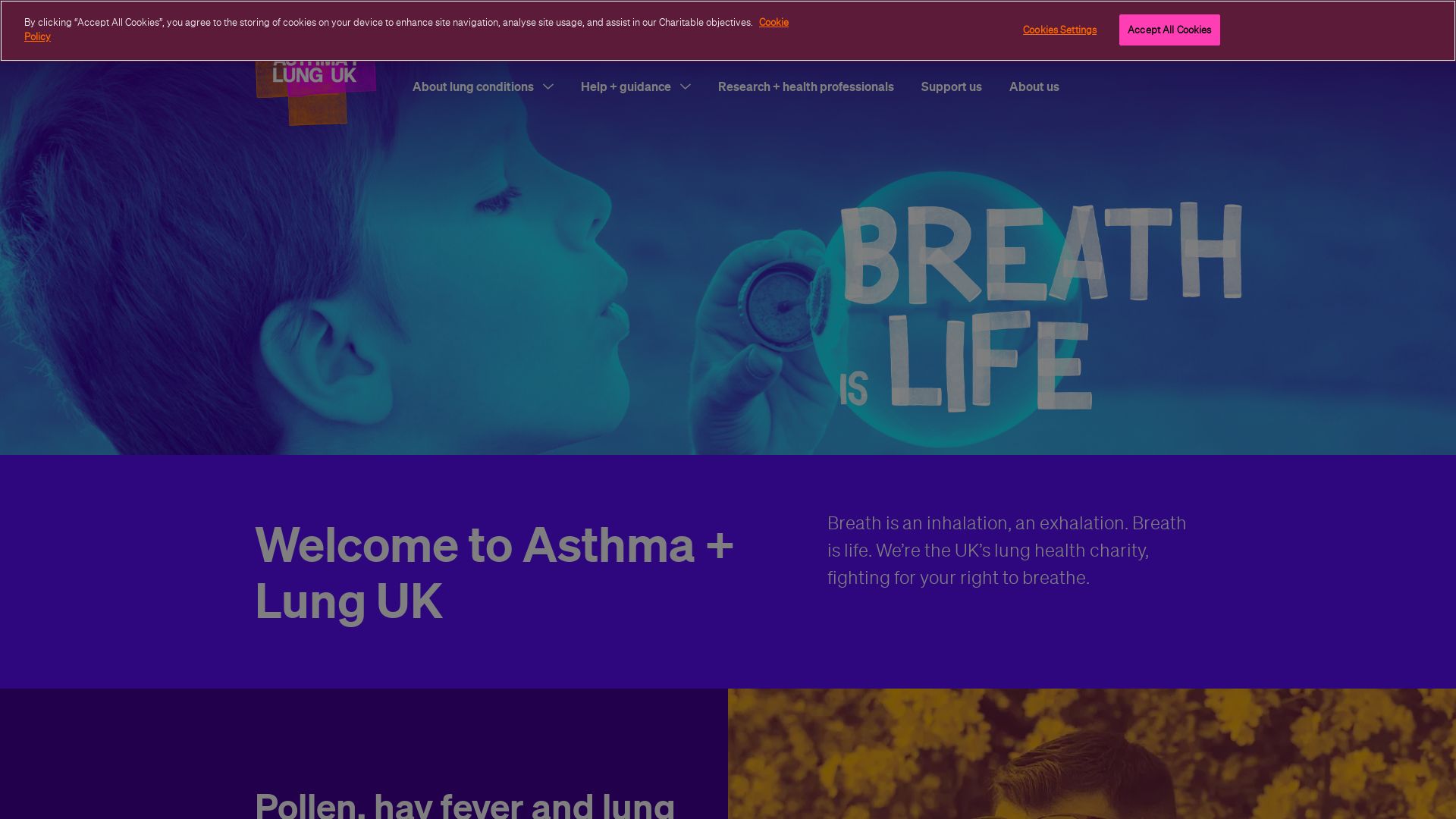 Webseitenstatus asthma.org.uk ist   ONLINE