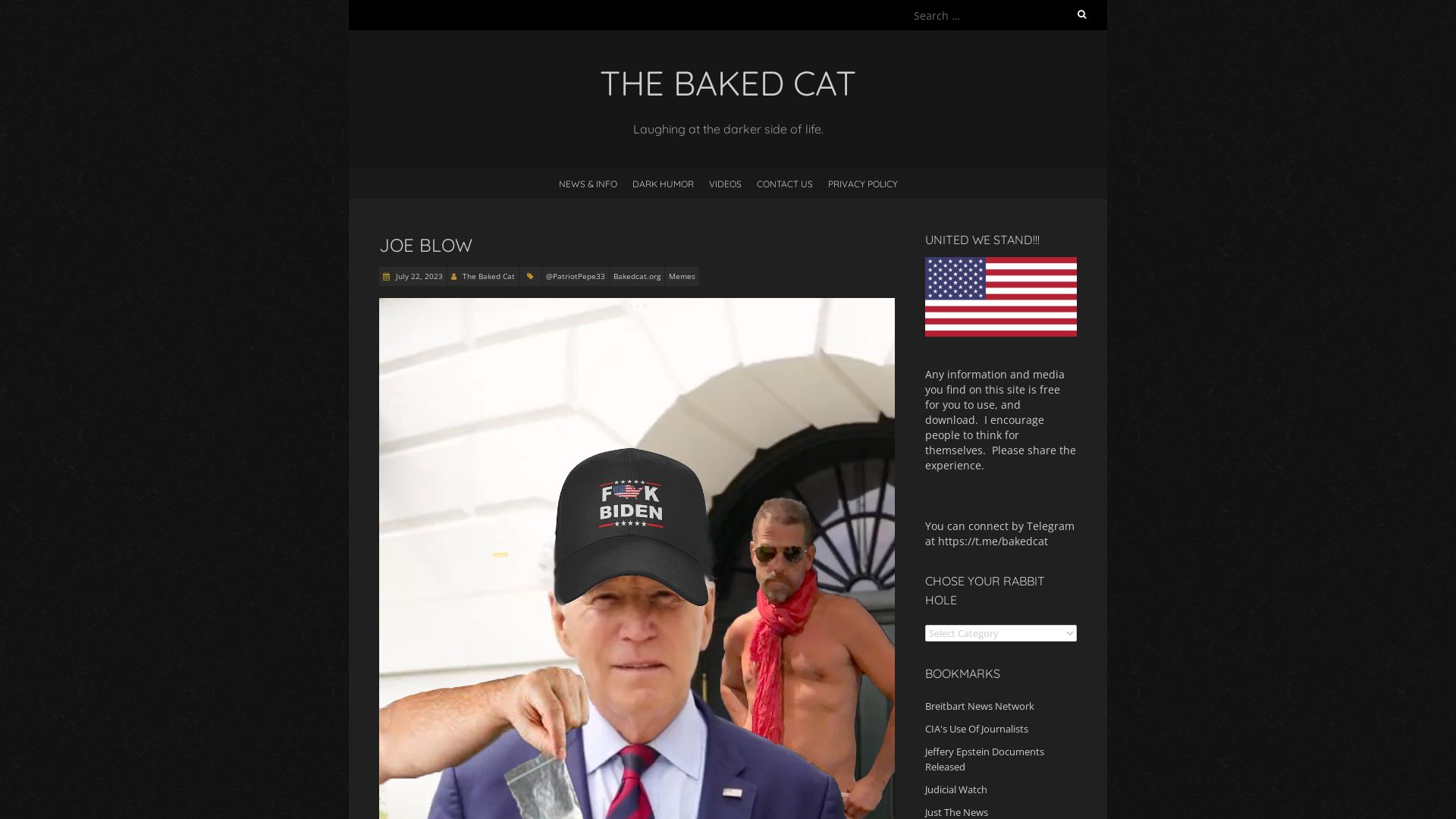 Webseitenstatus bakedcat.org ist   ONLINE