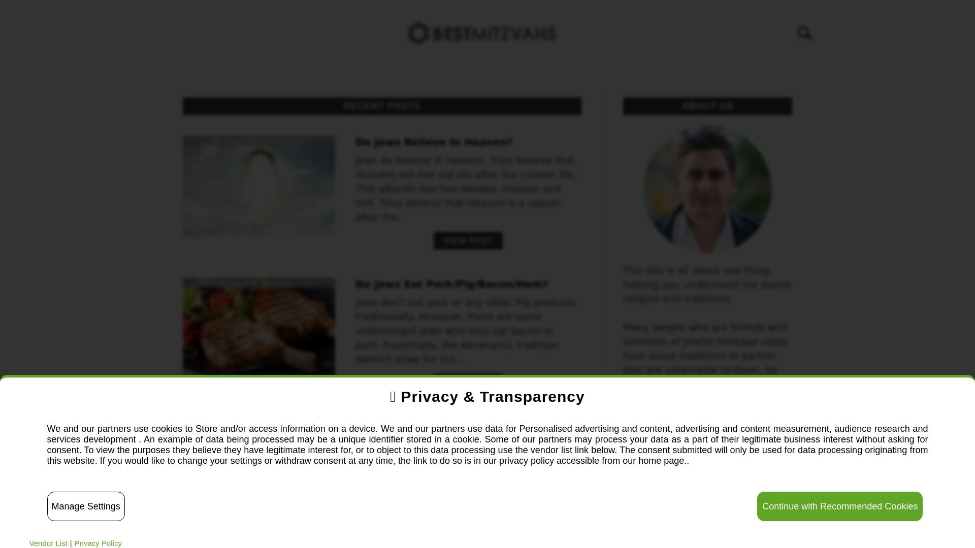 Webseitenstatus bestmitzvahs.com ist   ONLINE