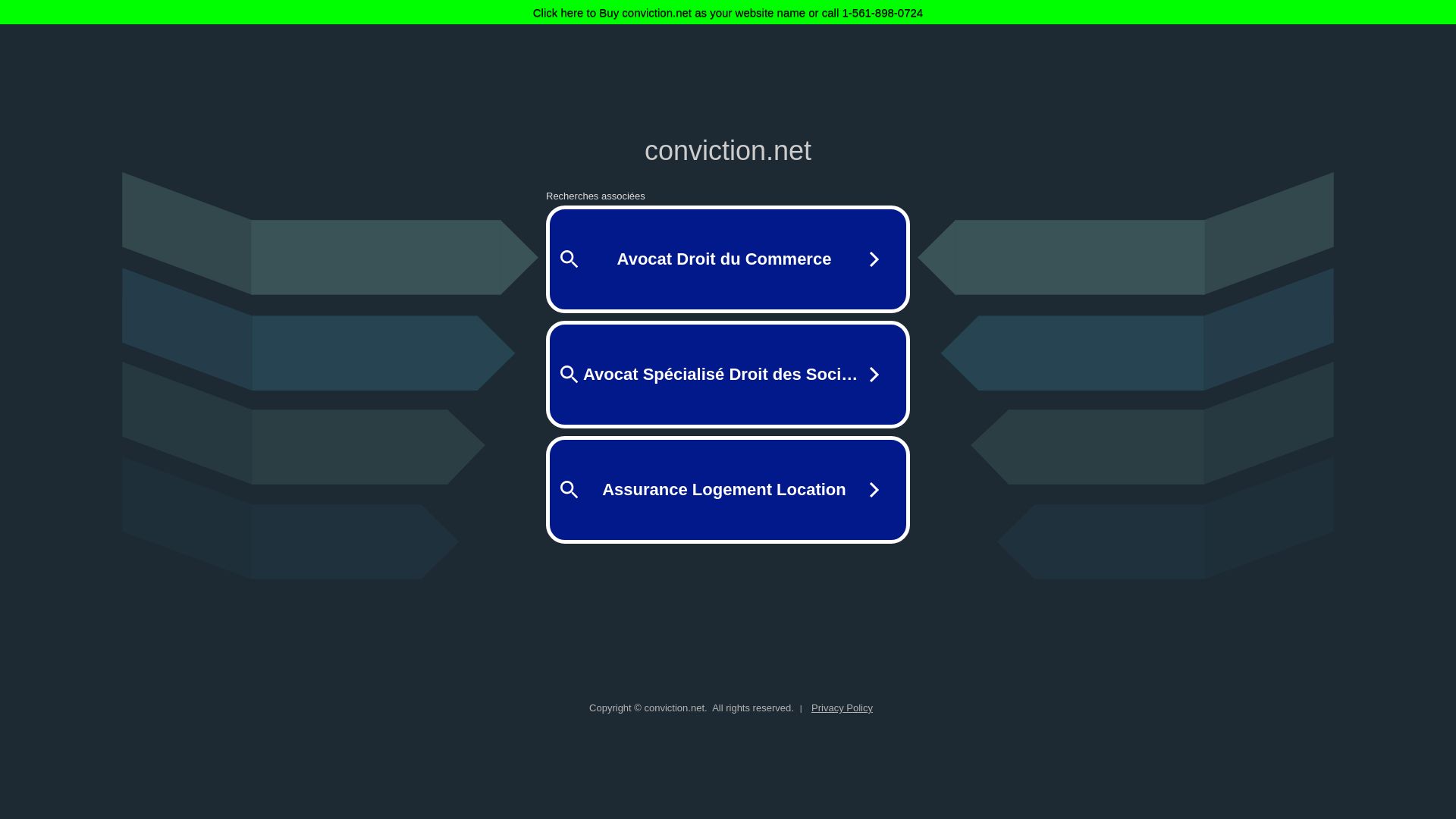 Webseitenstatus conviction.net ist   ONLINE