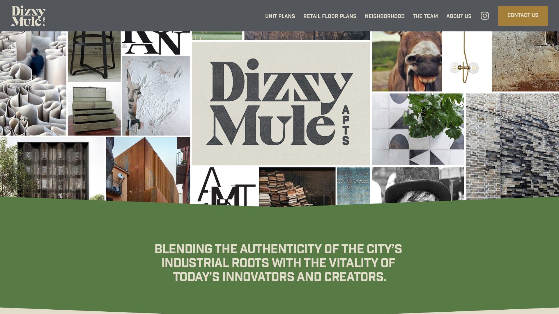 Webseitenstatus dizzymuleomaha.com ist   ONLINE