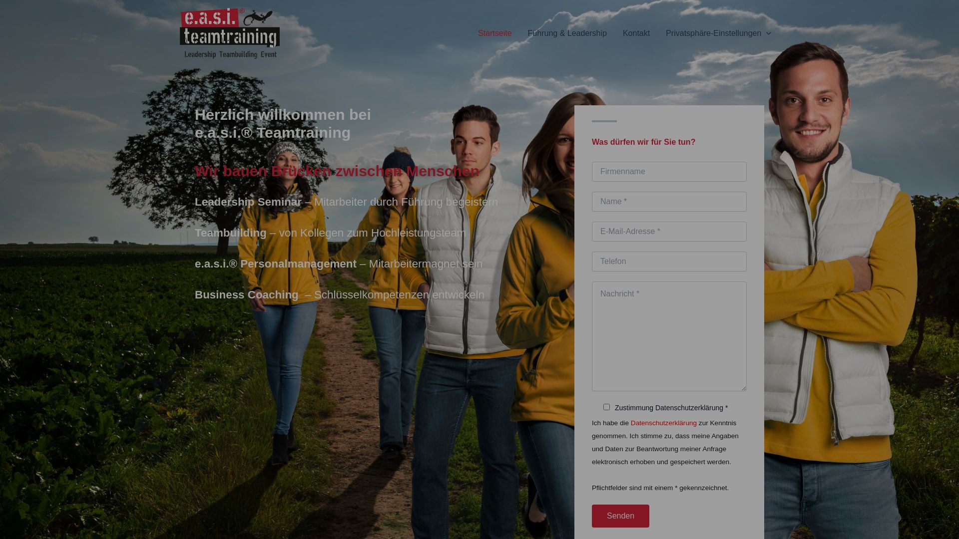 Webseitenstatus easi-teamtraining.de ist   ONLINE