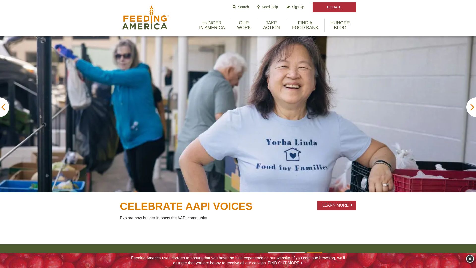 Webseitenstatus feedingamerica.org ist   ONLINE