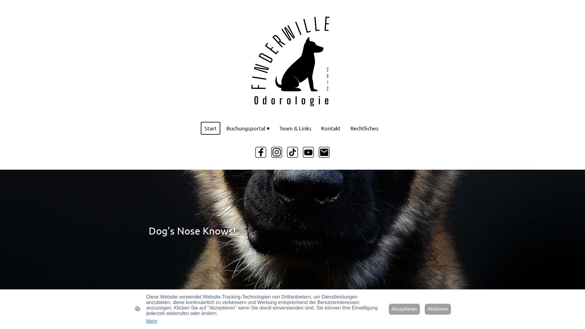 Webseitenstatus finderwille.de ist   ONLINE