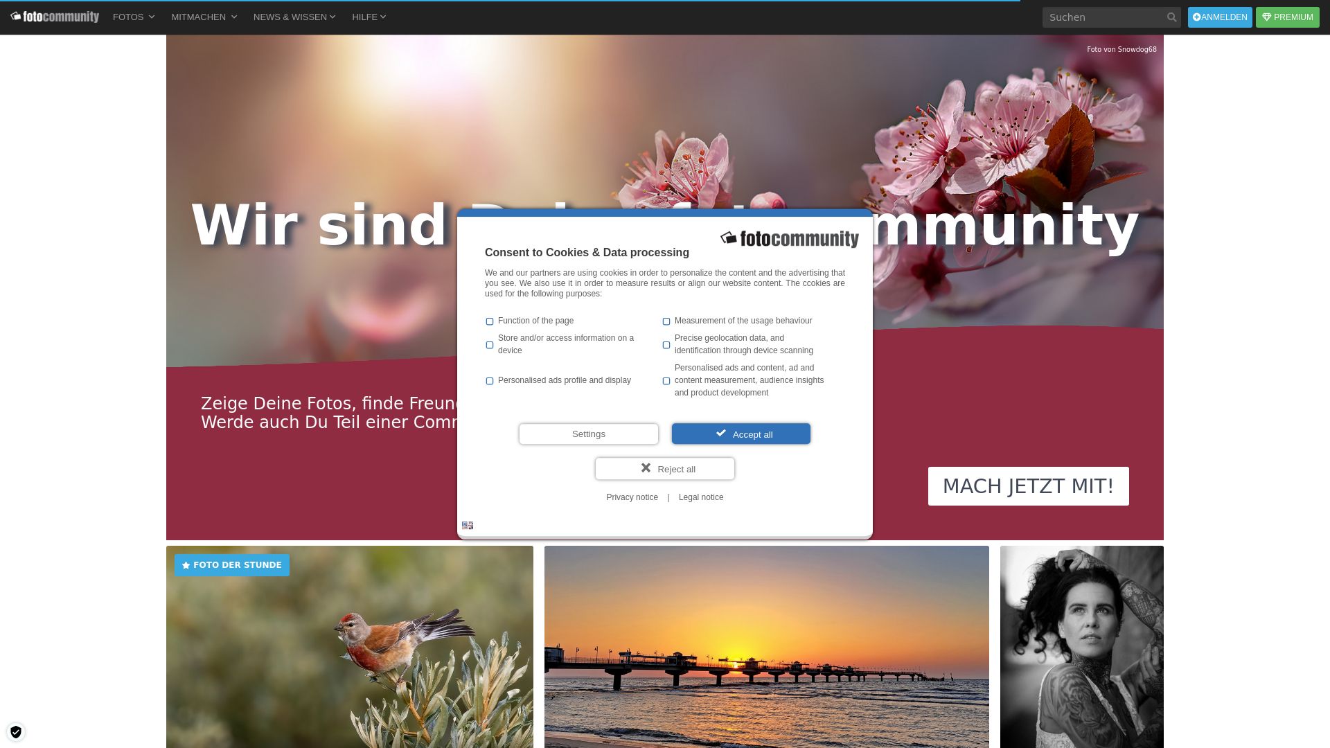 Webseitenstatus fotocommunity.de ist   ONLINE