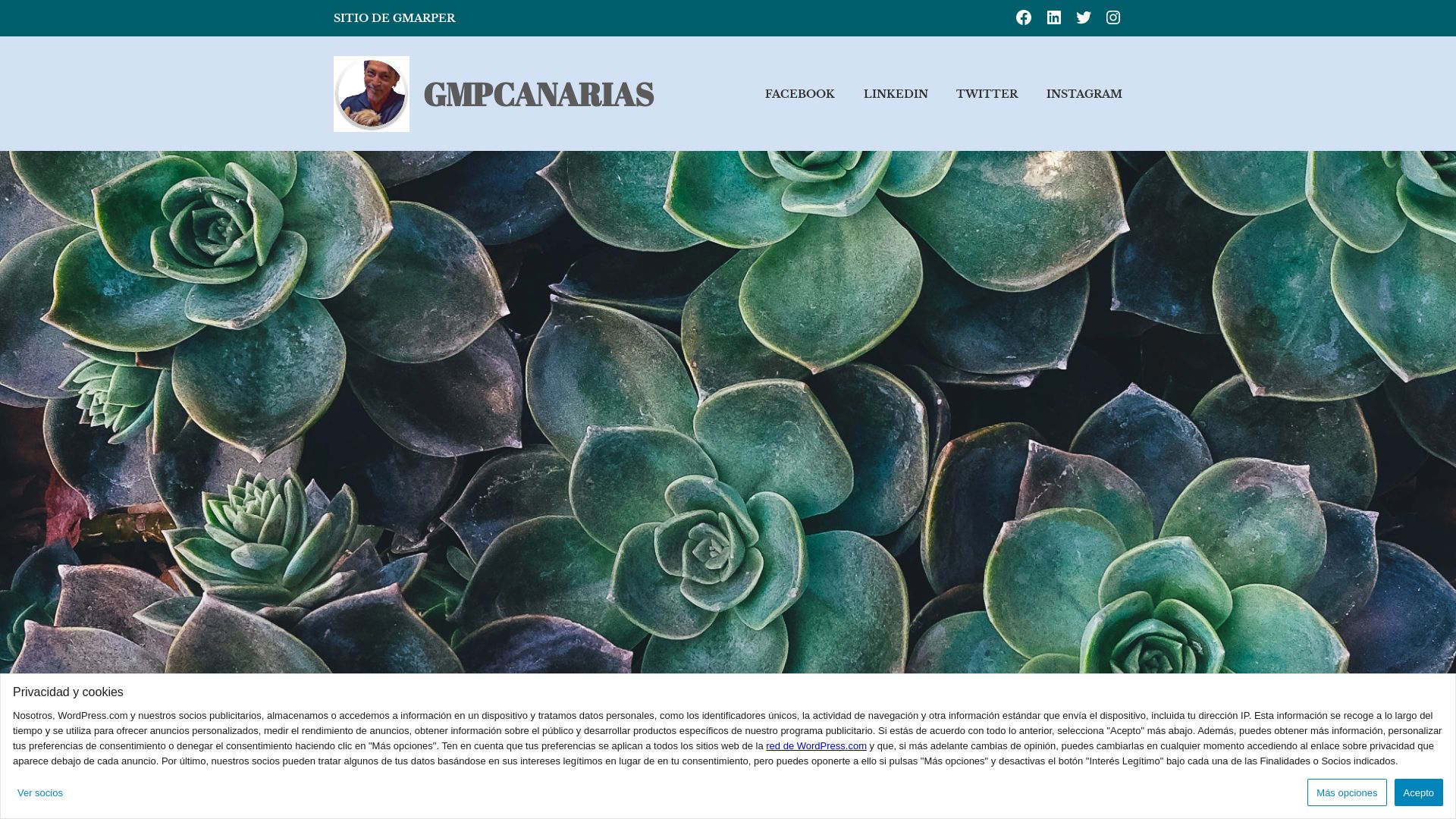Webseitenstatus gmpcanarias.wordpress.com ist   ONLINE