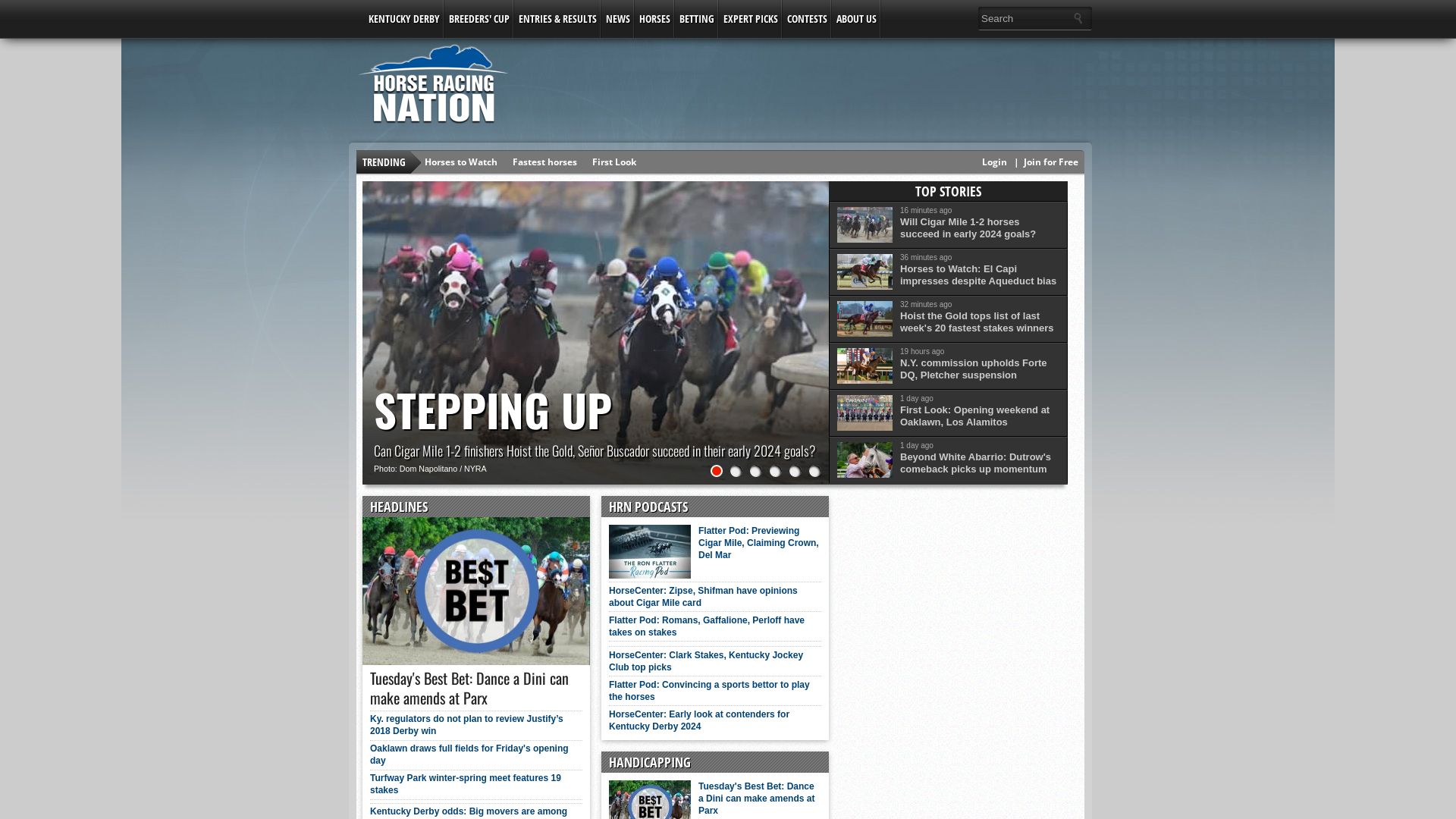 Webseitenstatus horseracingnation.com ist   ONLINE