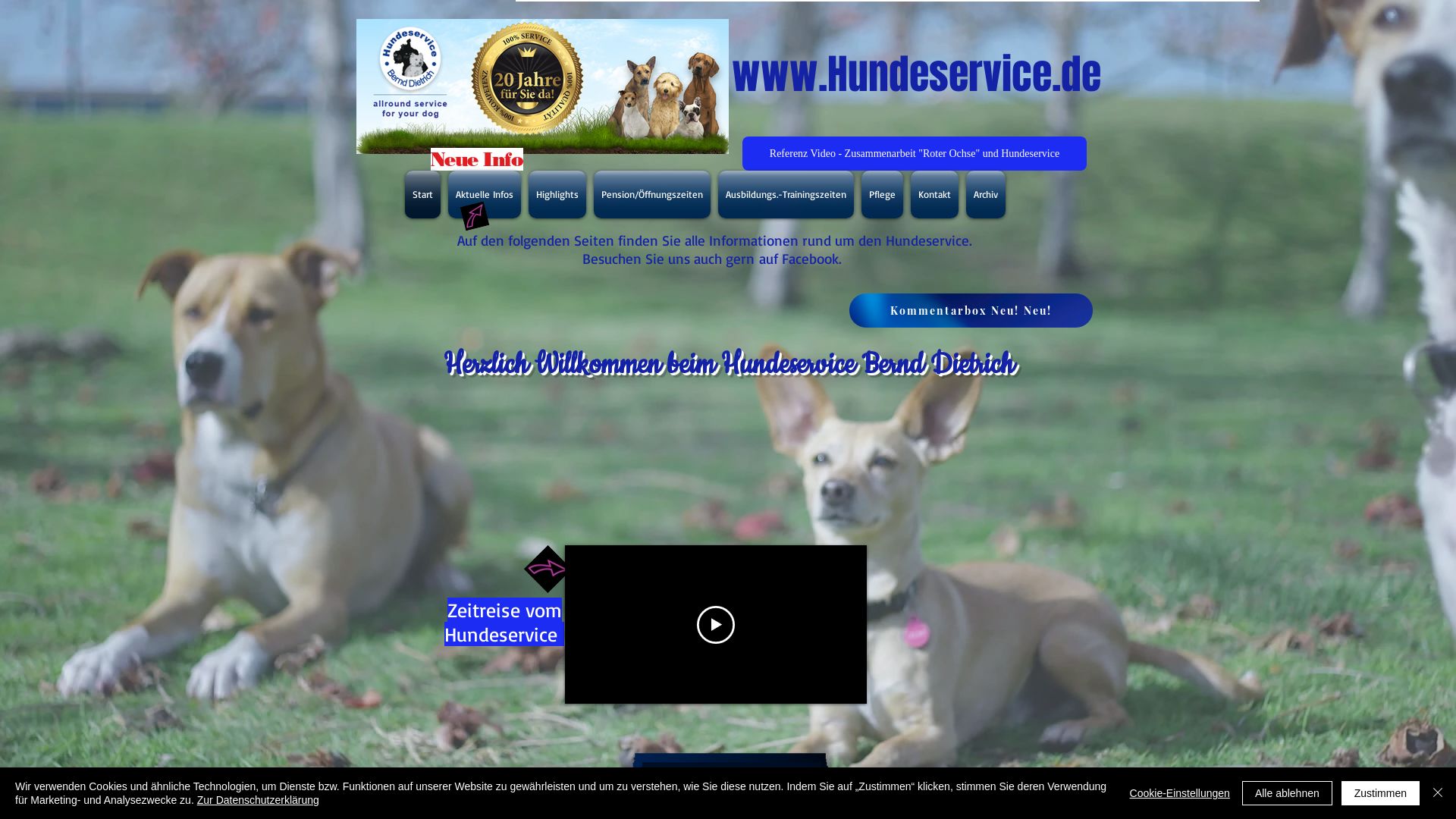 Webseitenstatus hundeservice.de ist   ONLINE