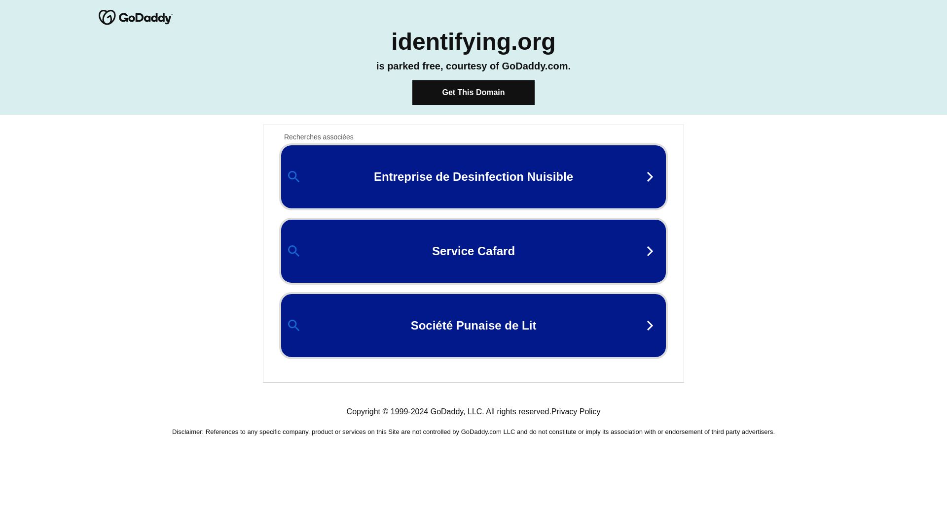 Webseitenstatus identifying.org ist   ONLINE