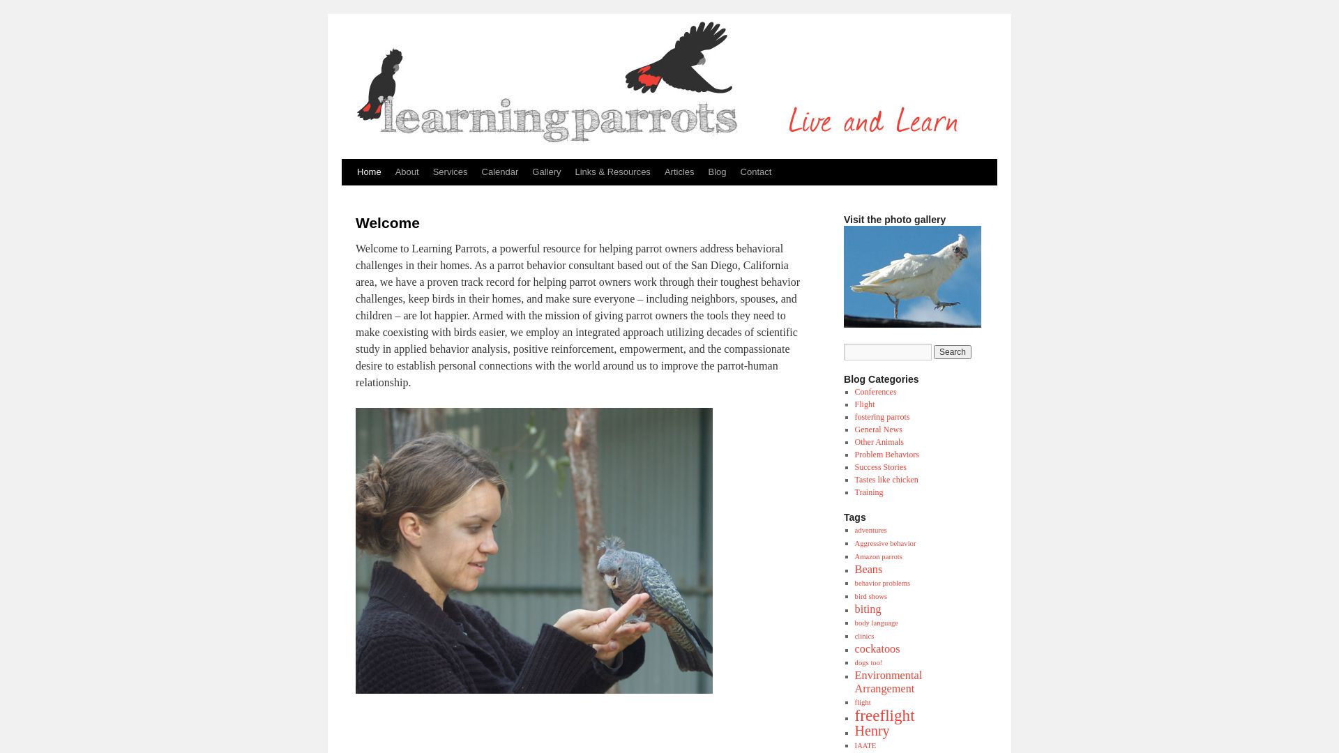 Webseitenstatus learningparrots.com ist   ONLINE