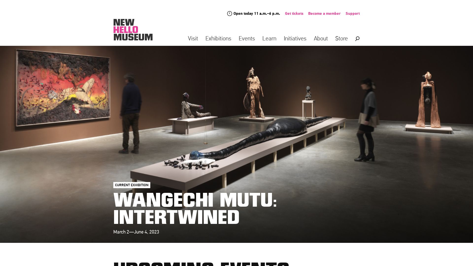 Webseitenstatus newmuseum.org ist   ONLINE