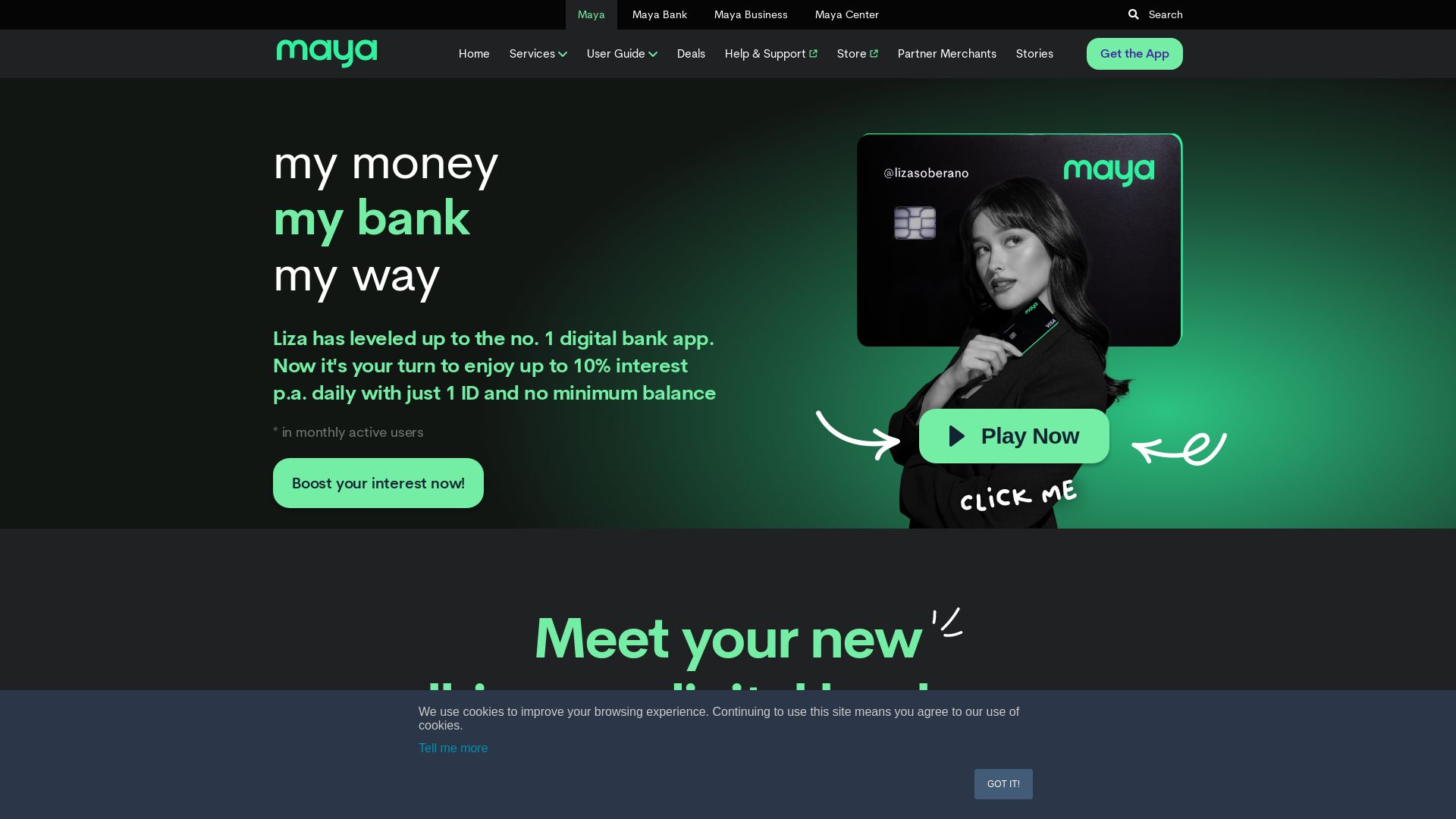 Webseitenstatus paymaya.com ist   ONLINE