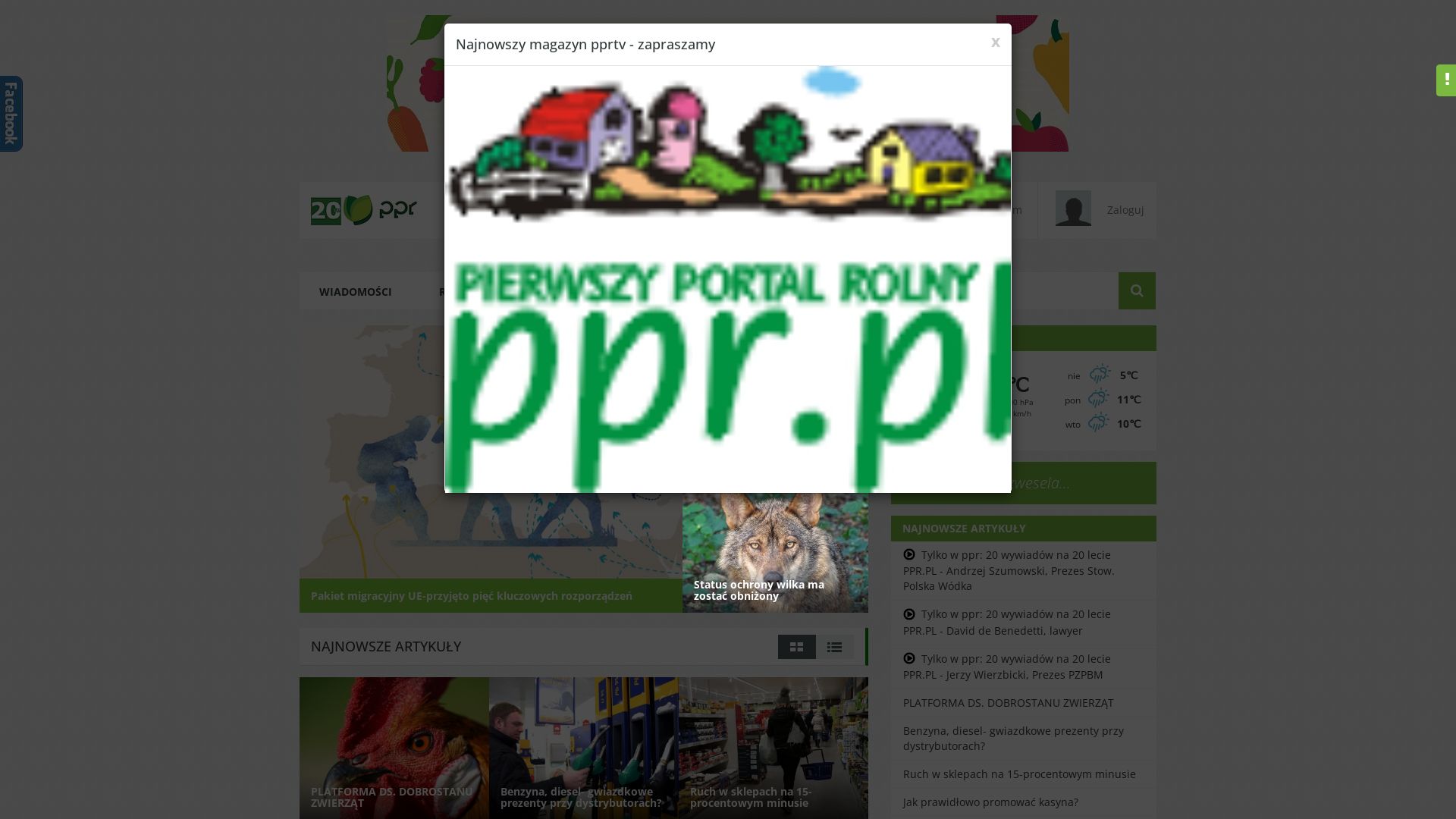 Webseitenstatus ppr.pl ist   ONLINE