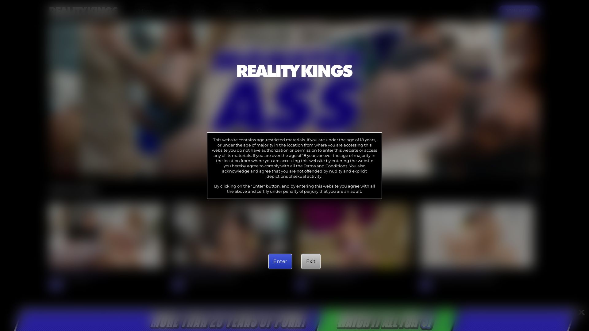 Webseitenstatus realitykings.com ist   ONLINE