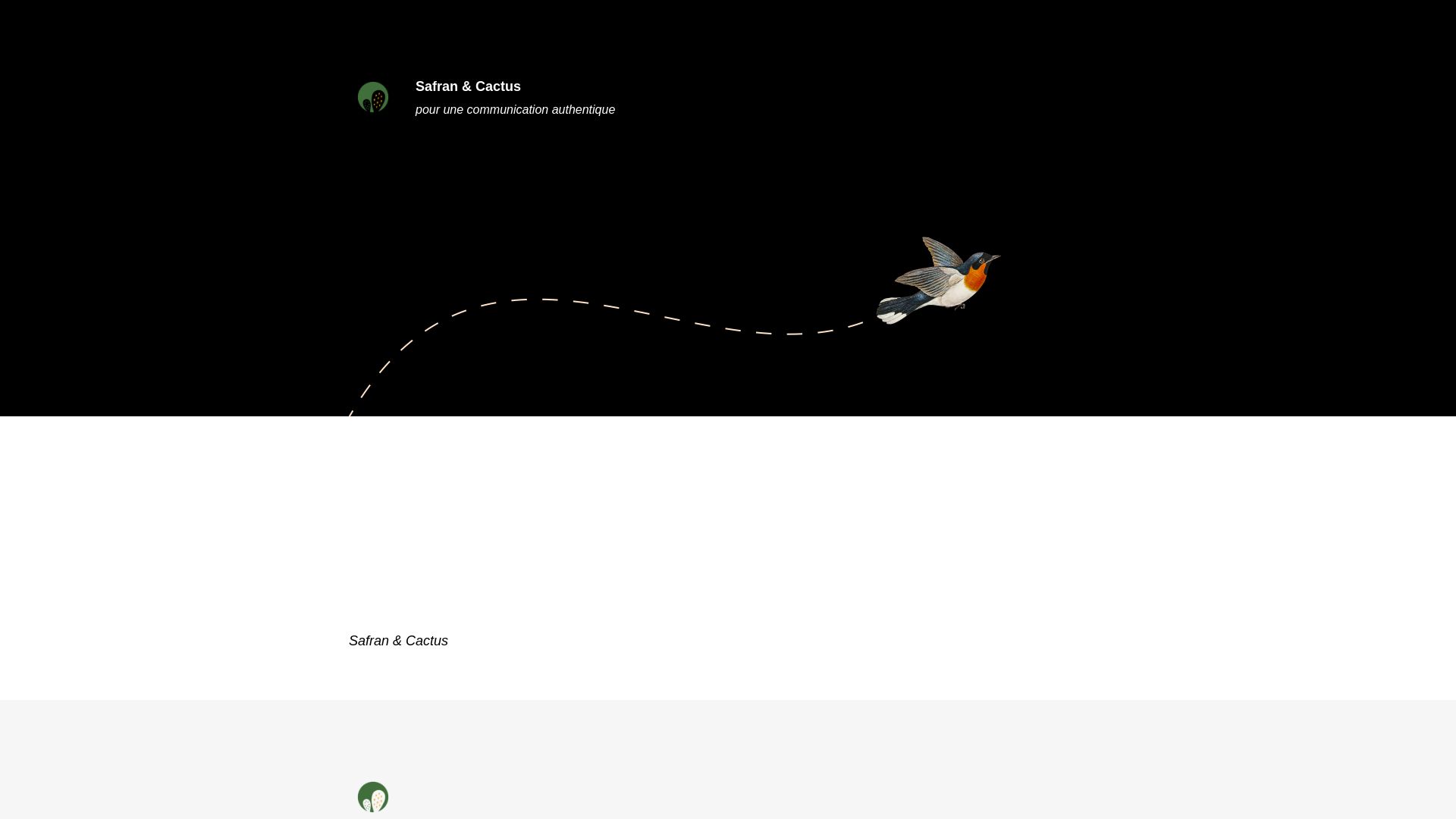 Webseitenstatus safranetcactus.fr ist   ONLINE