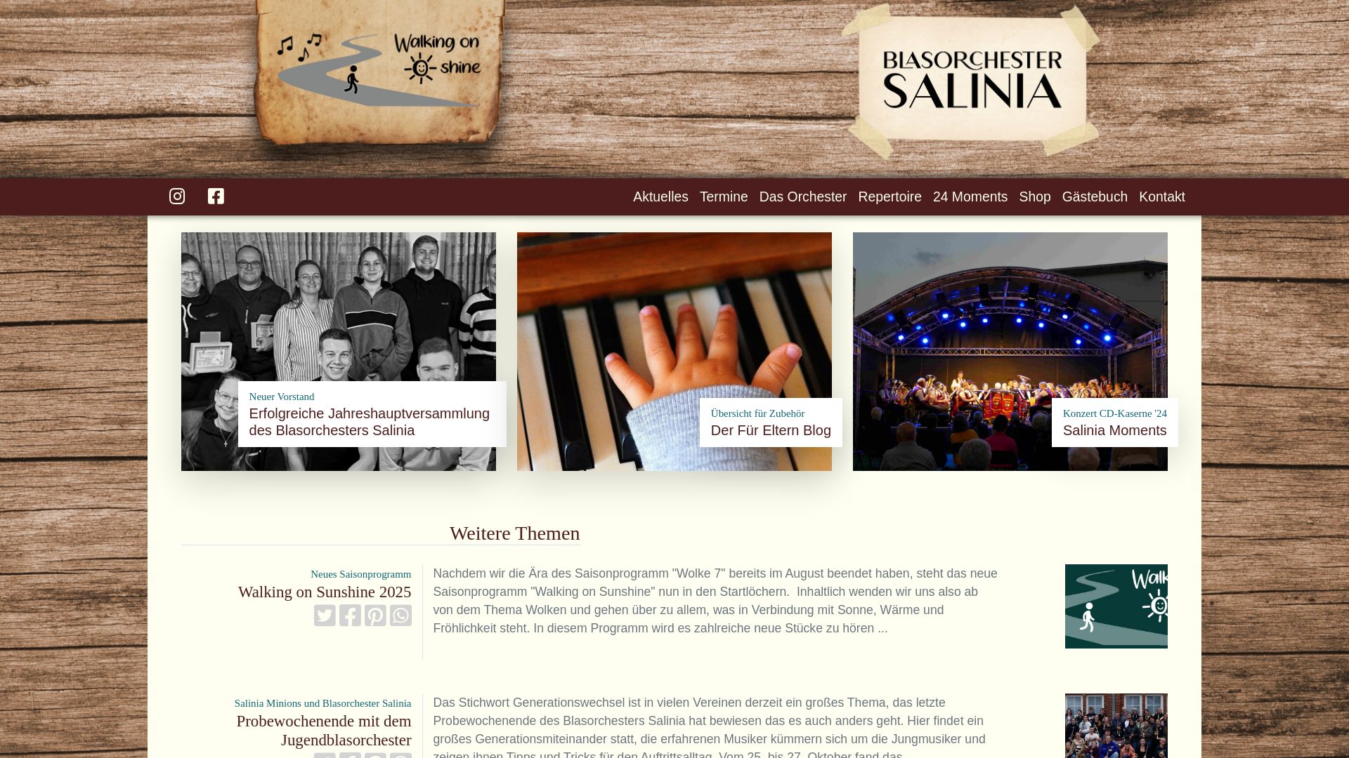 Webseitenstatus salinia.de ist   ONLINE