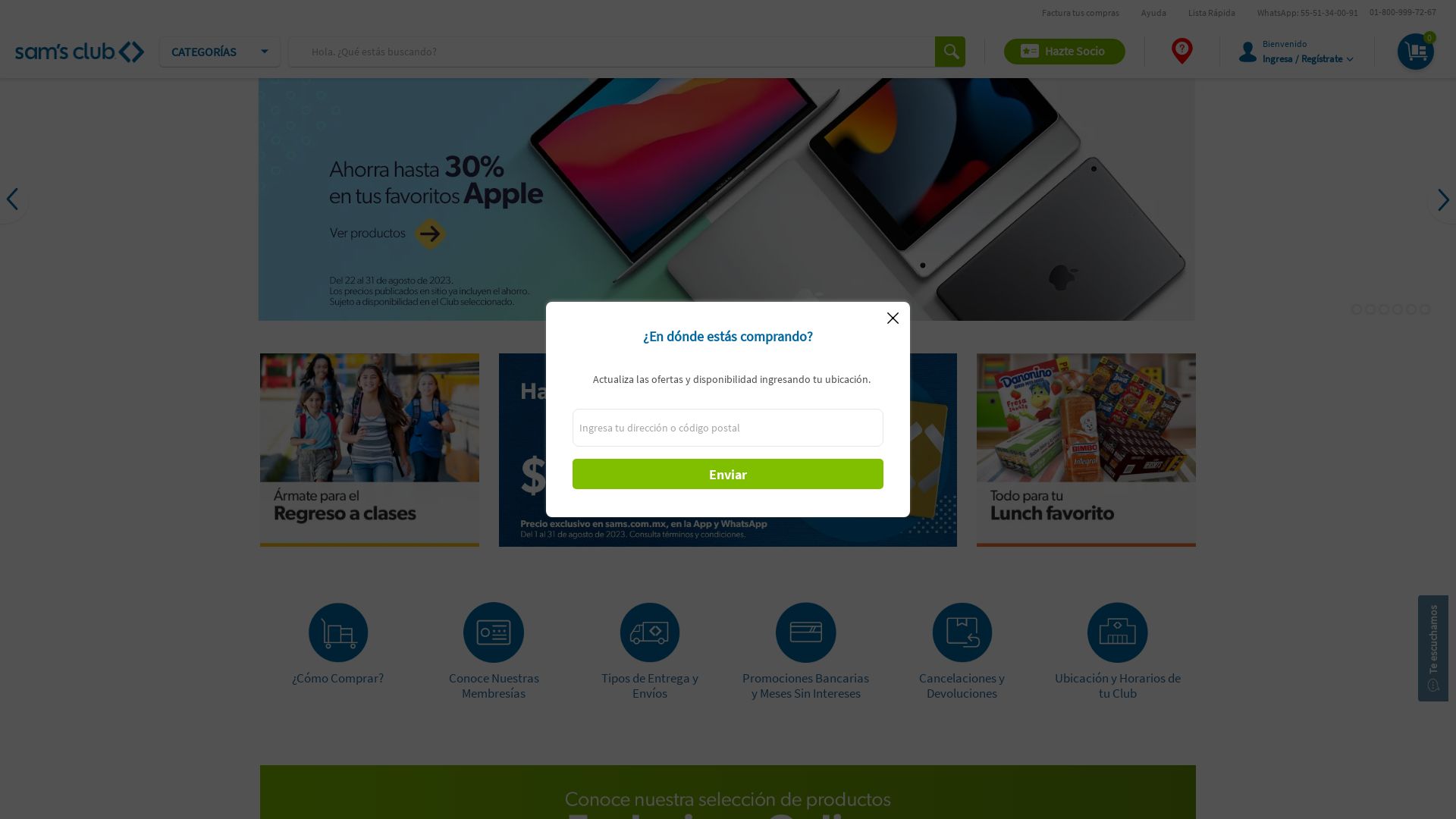 Webseitenstatus sams.com.mx ist   ONLINE