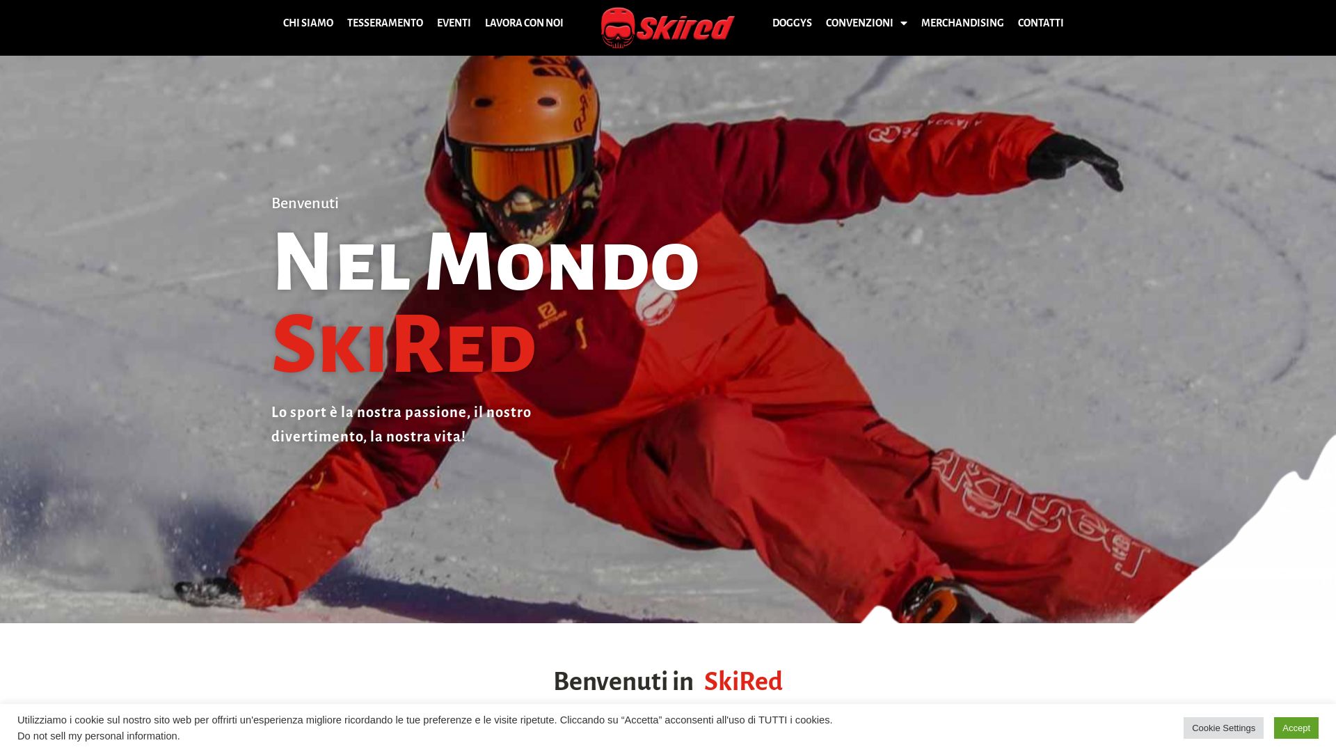 Webseitenstatus skired.it ist   ONLINE