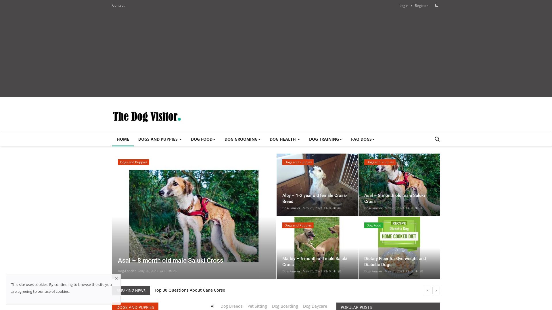 Webseitenstatus thedogvisitor.com ist   ONLINE