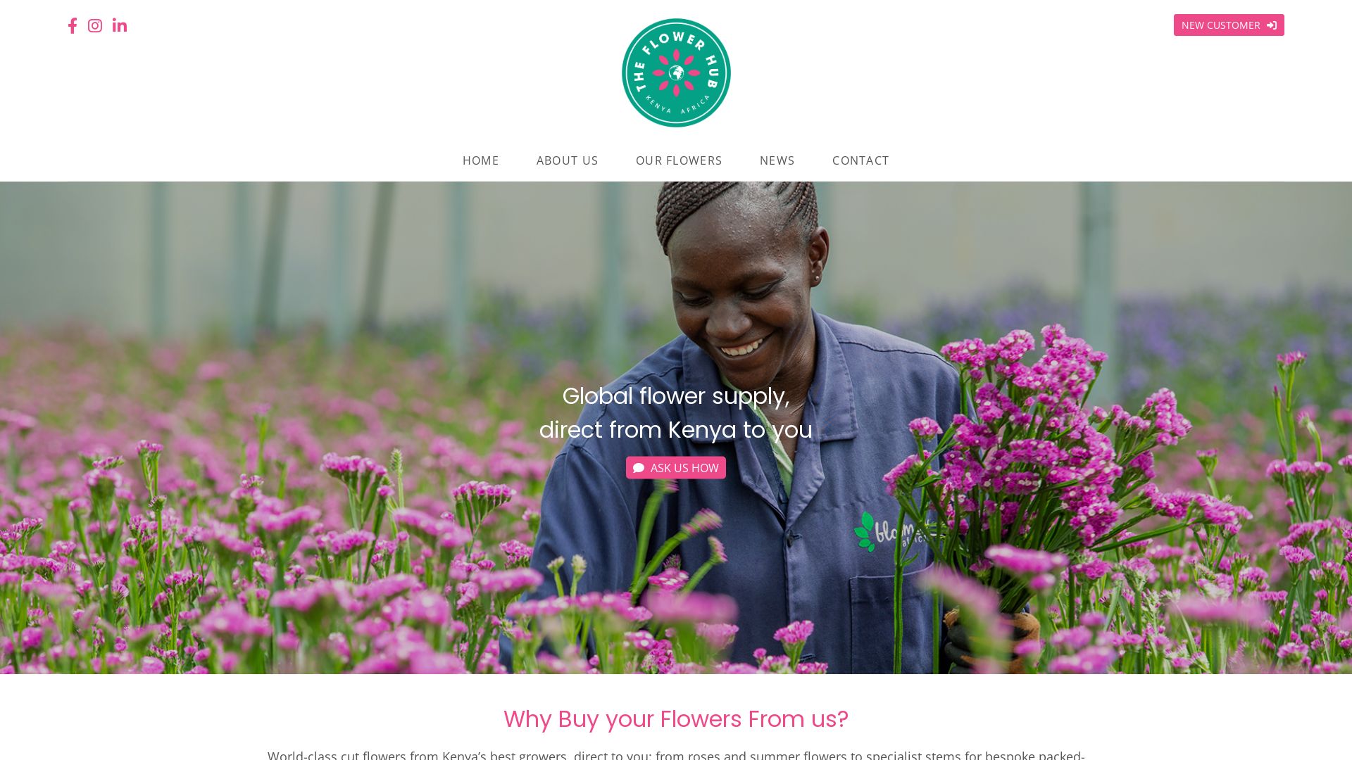 Webseitenstatus theflowerhub.co.ke ist   ONLINE