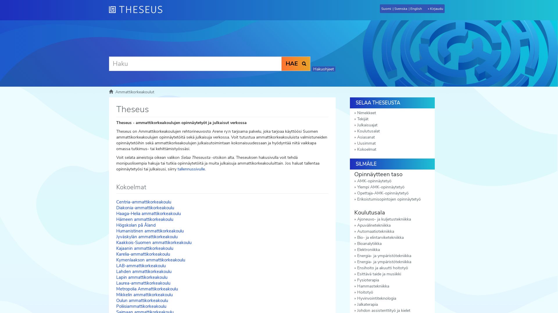 Webseitenstatus theseus.fi ist   ONLINE