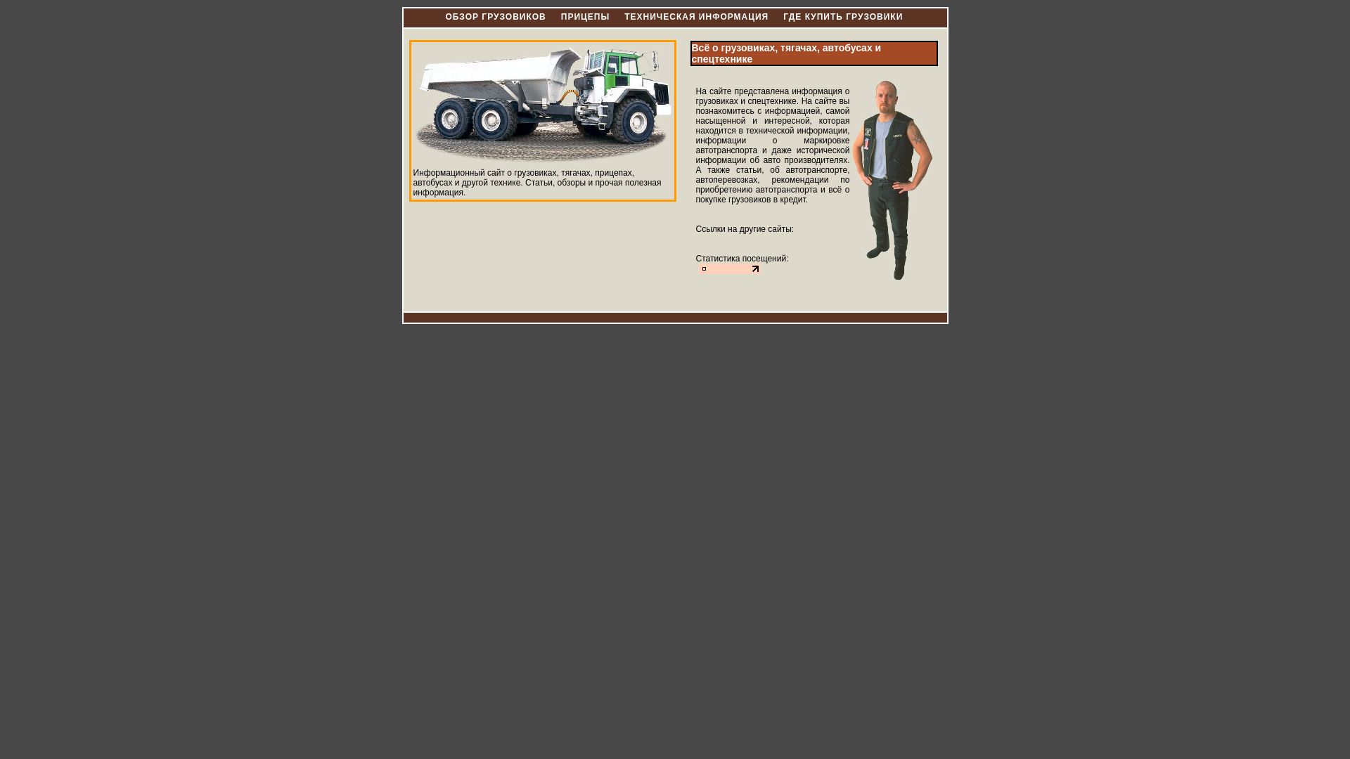 Webseitenstatus truckz.ru ist   ONLINE