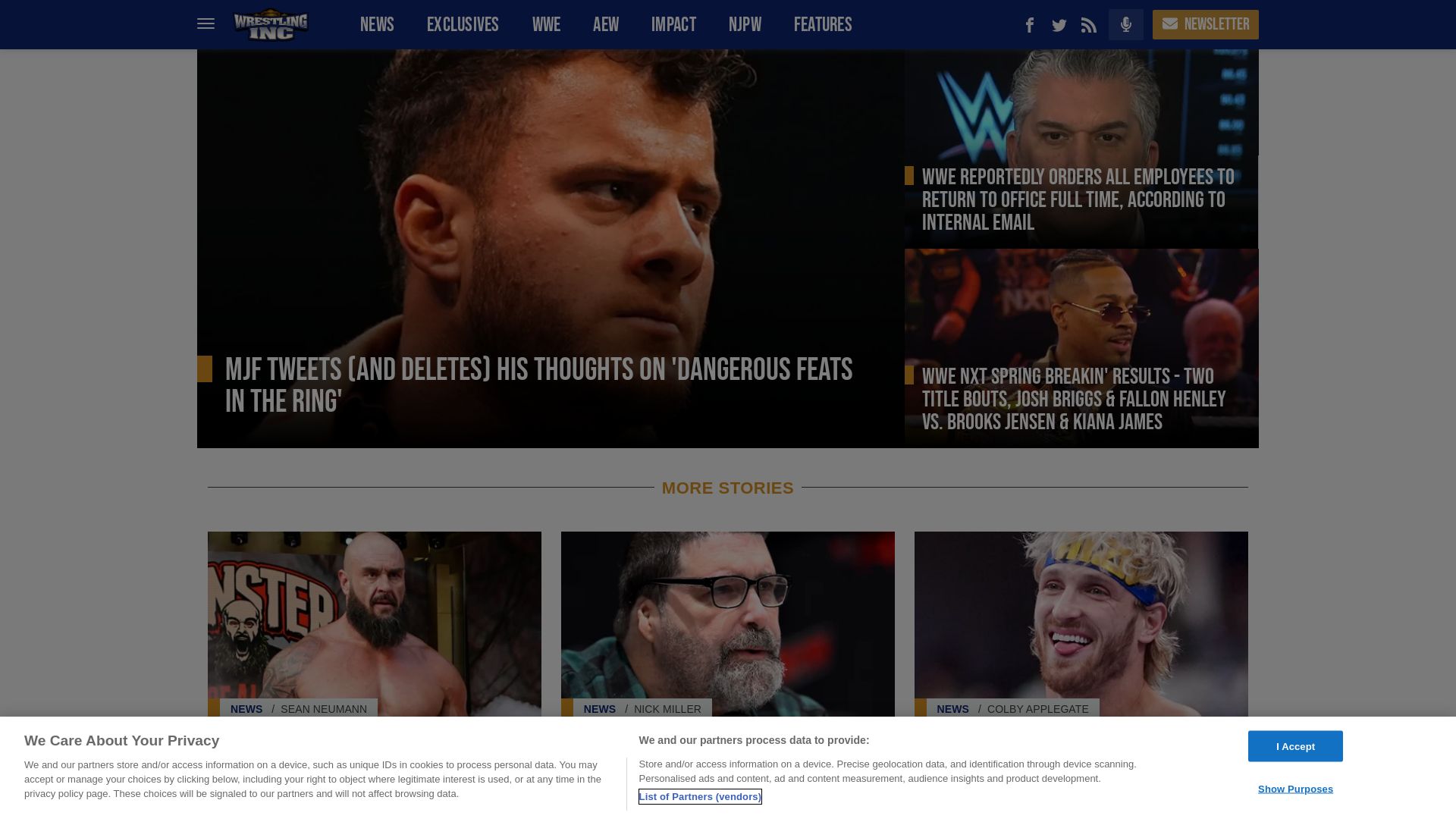 Webseitenstatus wrestlinginc.com ist   ONLINE